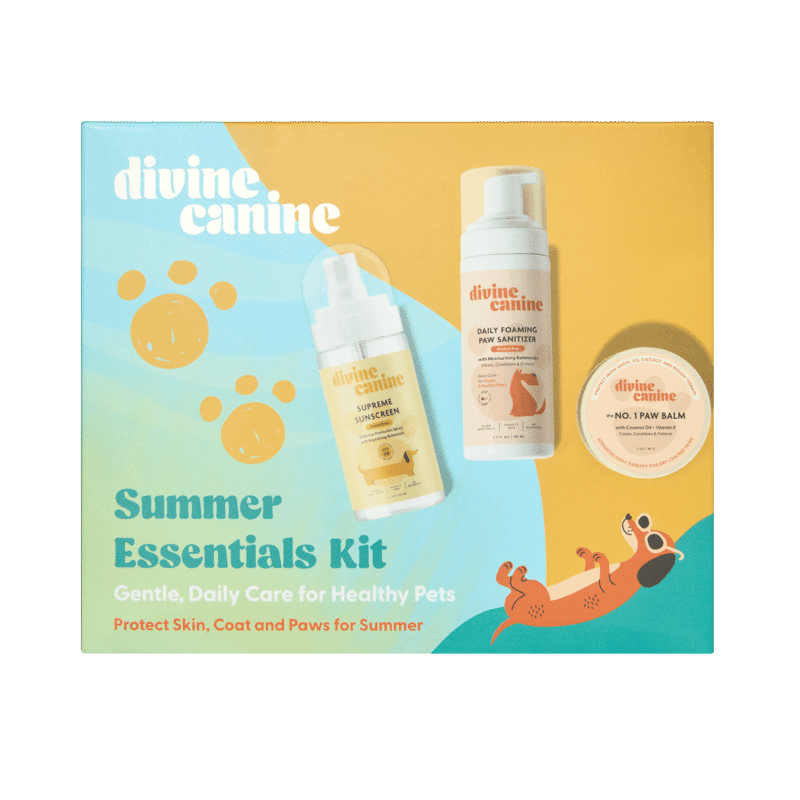 PupBox by FabFitFun (L/XL)