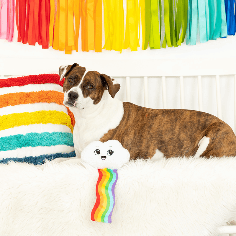 Head in the Clouds Dog Toy