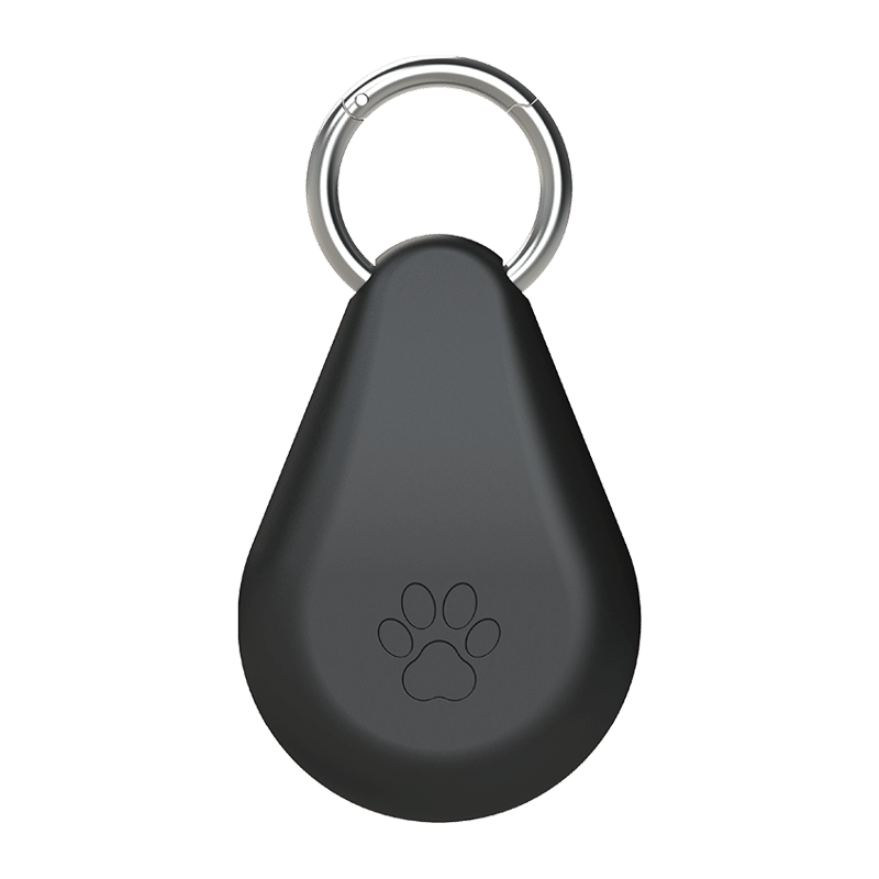 Locator Tag + Keychain