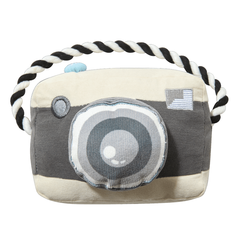 PupBox by FabFitFun (L/XL)