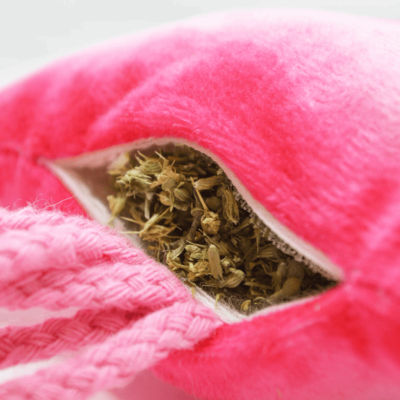 Get Floated Jellyfish Refillable Cat Toy