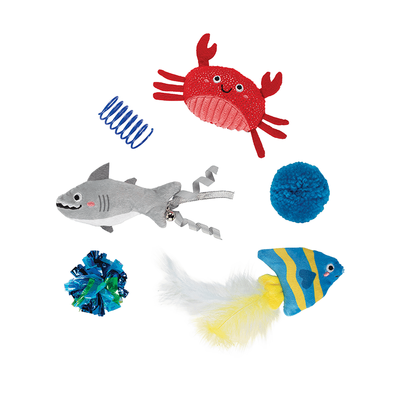 Water You Waiting For Cat Toy Set