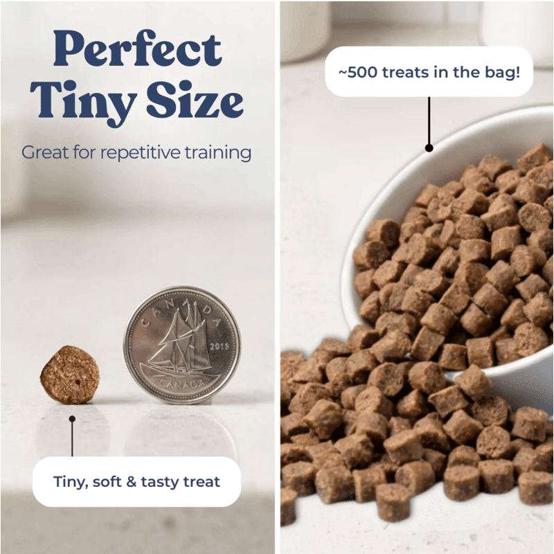 Mini Dog Training Treats with Superfoods