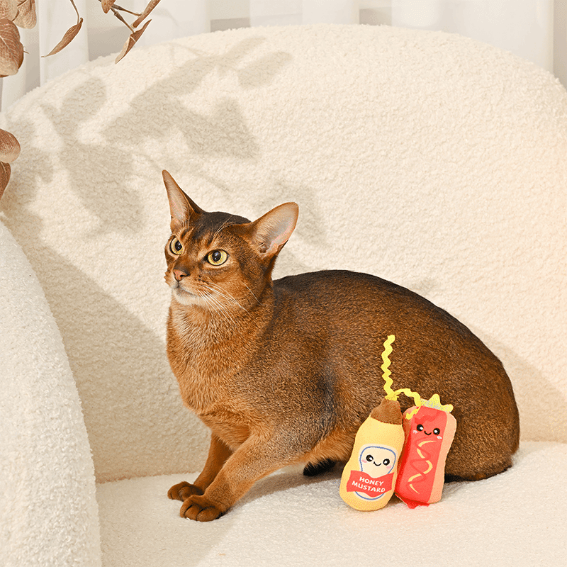Foodie Feline Cat Toy Set