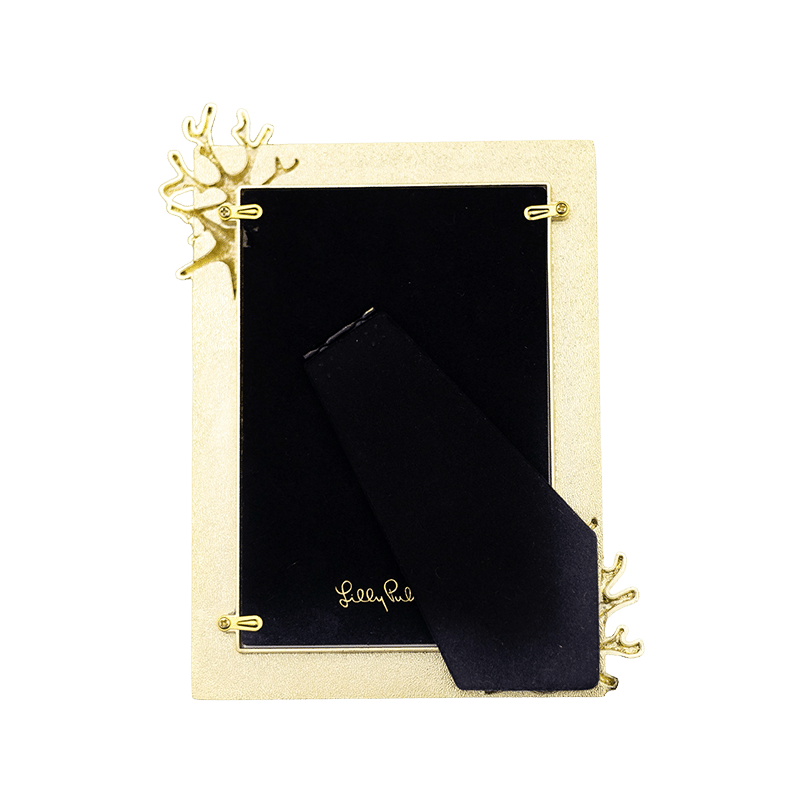 Medium Picture Frame