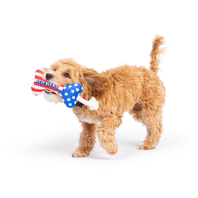 Tiny Tuff Lil' Firecracker Bone Dog Toy
