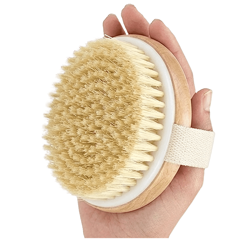 Natural Bristle Exfoliating Body Brush (2 Pack)