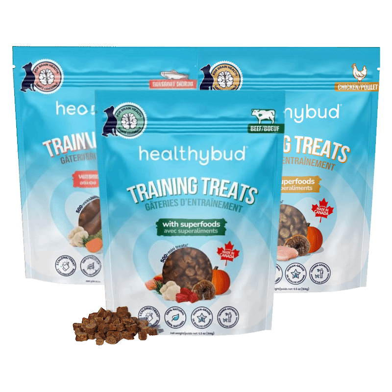 Mini Dog Training Treats with Superfoods