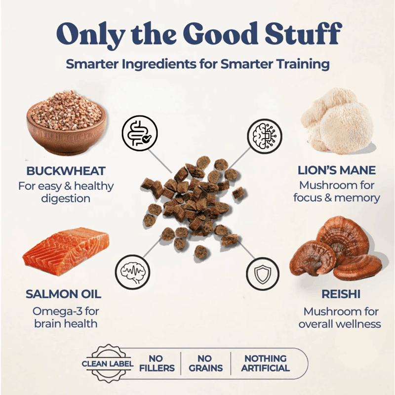 Mini Dog Training Treats with Superfoods