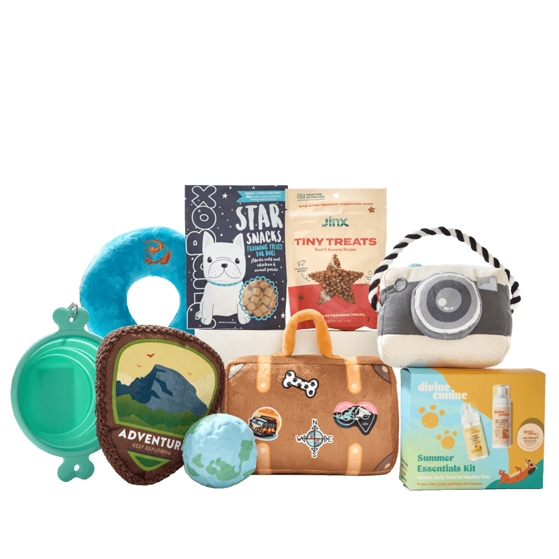 Picture of PupBox by FabFitFun (L/XL)