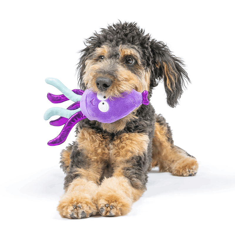 Slappies® Squiggly Squid Dog Toy Small