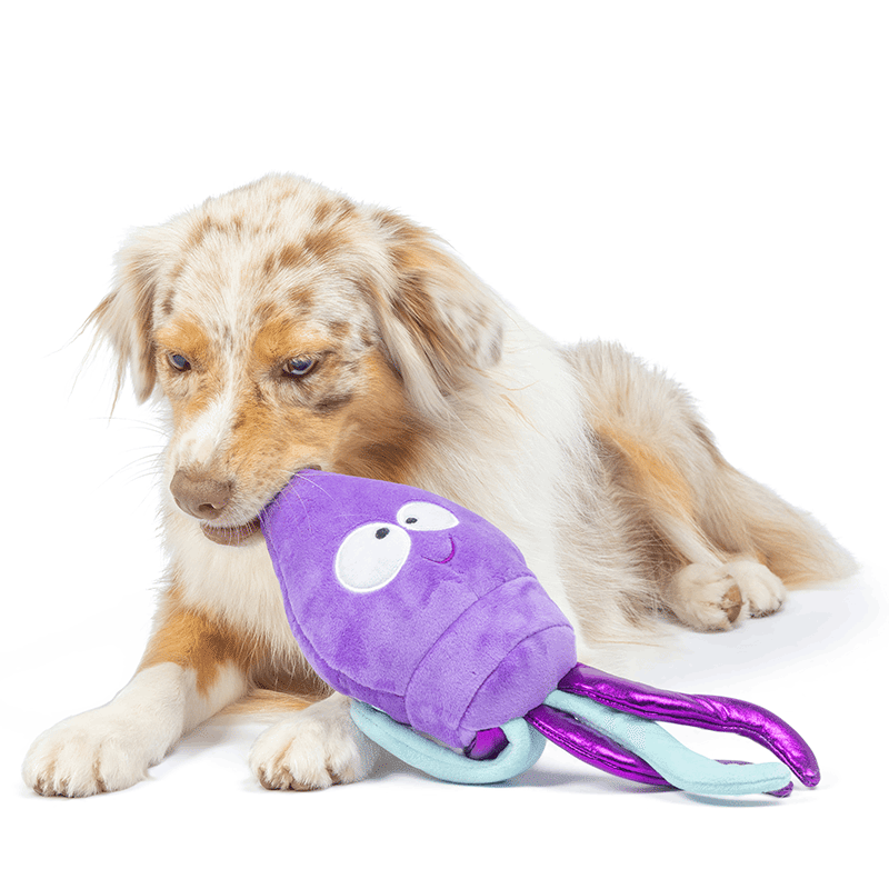 Slappies® Squiggly Squid Dog Toy Small