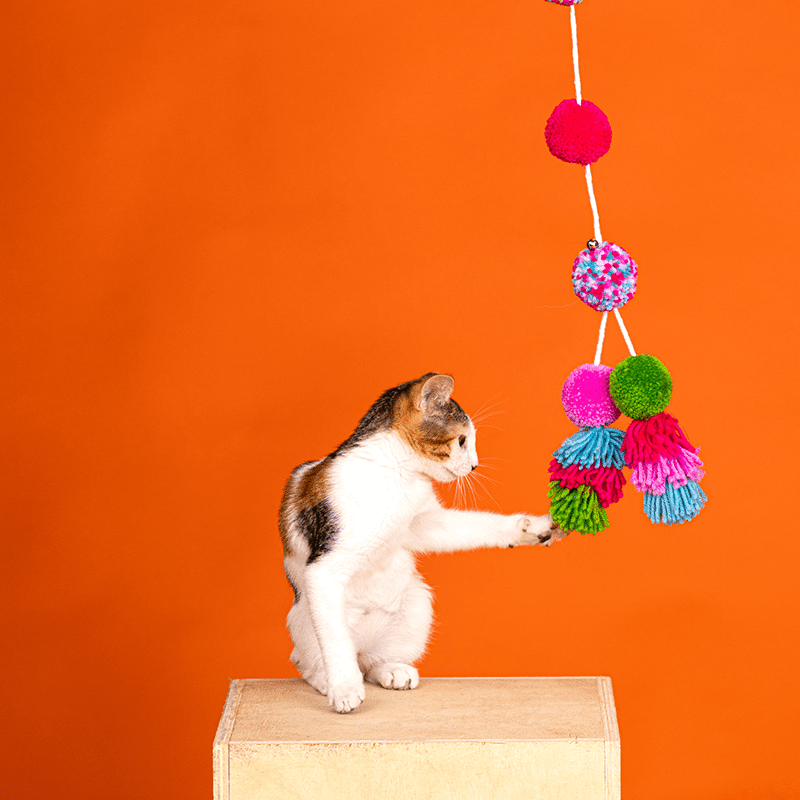 Shake Your Pom Pom Cat Toy