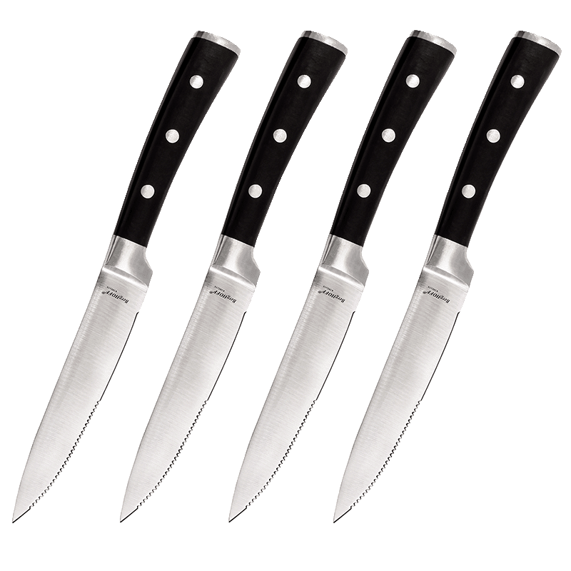 4 Piece Stainless Steel 5" Steak Knife Set