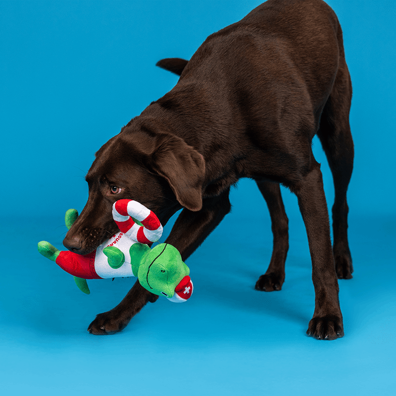 To the Rex-Cue! Plush Dog Toy