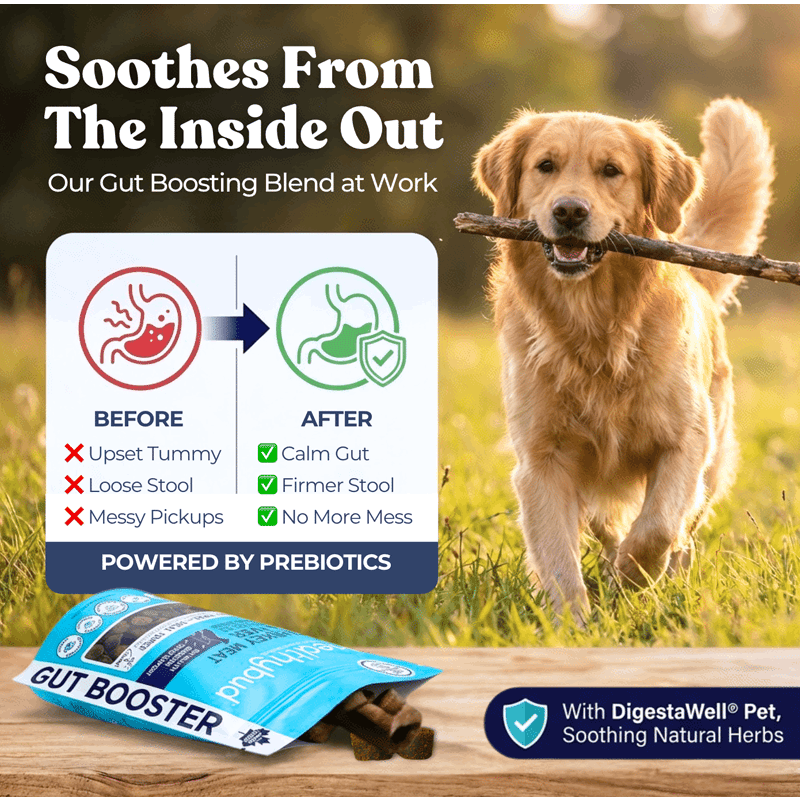 Gut Booster Turkey Dog Treat & Meal Topper
