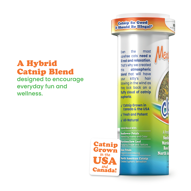 Cloud 9 Catnip Blend