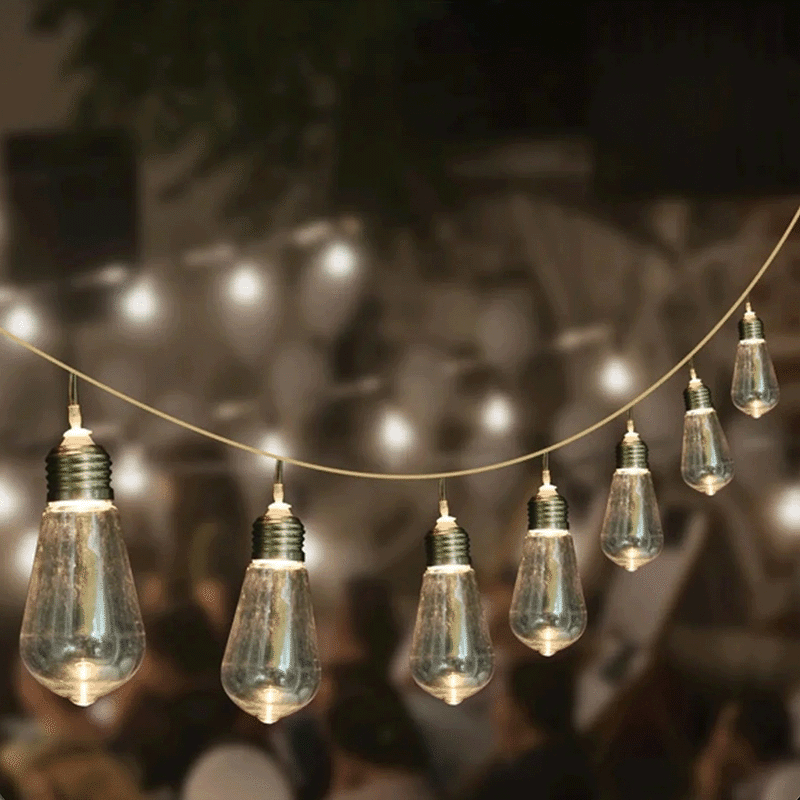 10 Bulb Indoor/Outdoor String Lights