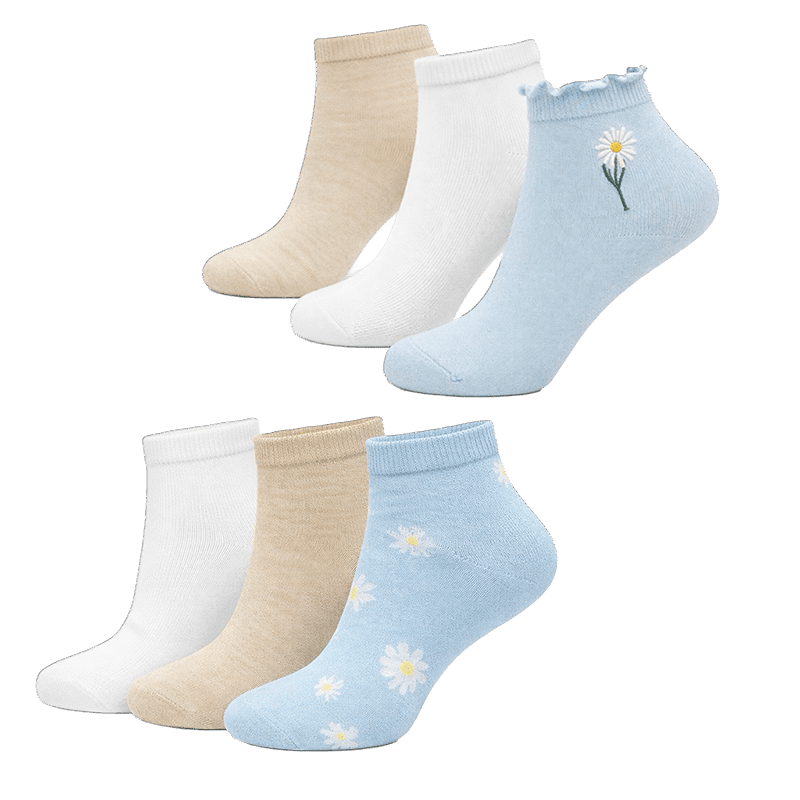 6Pk Lettuce Edge Quarters