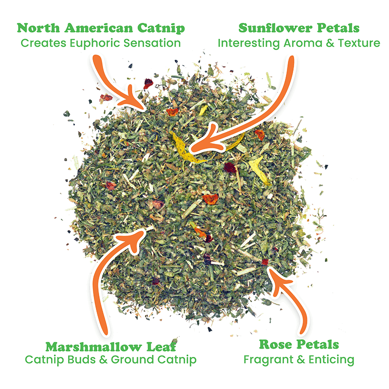 Cloud 9 Catnip Blend