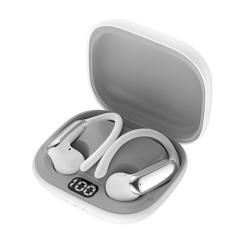 Truebuds Flex Earbuds & Charging Case