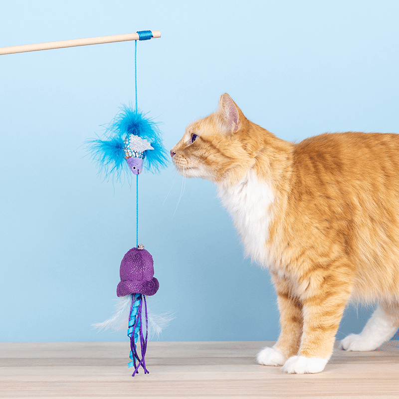 Going with the Tide Cat Toy