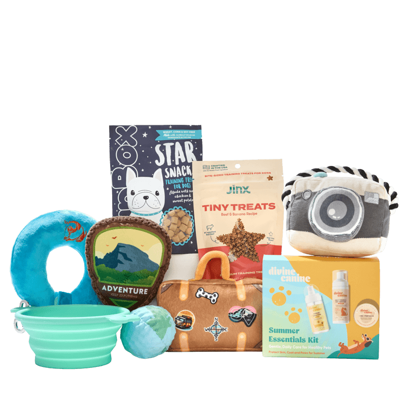 Picture of PupBox by FabFitFun (S/M)