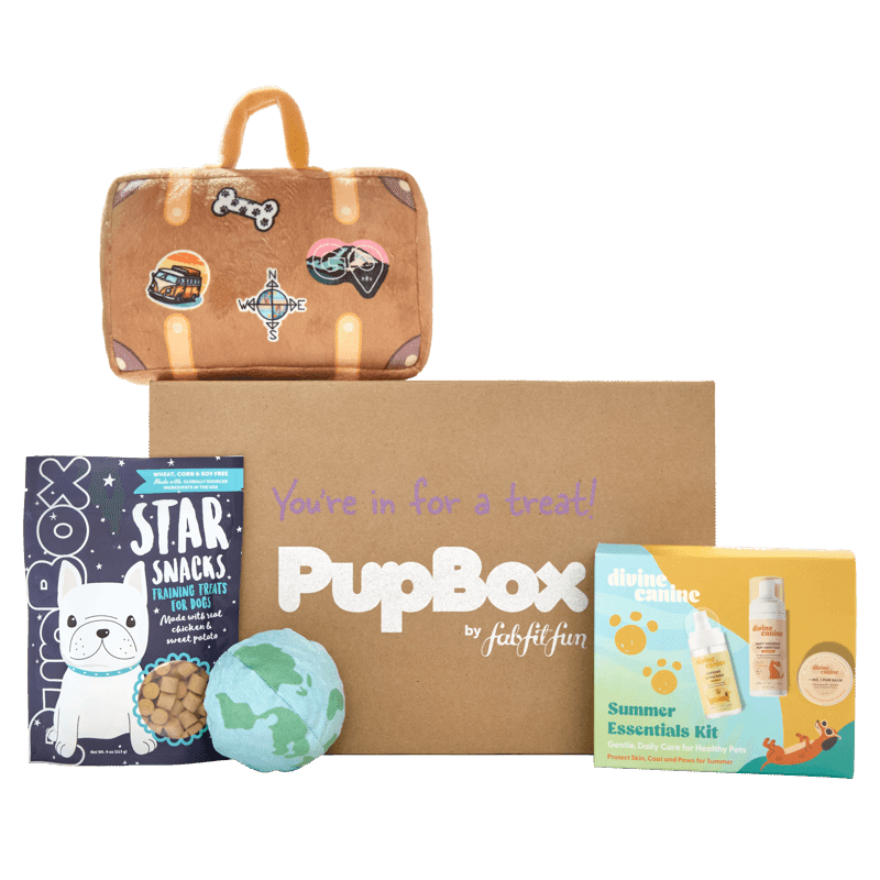 Picture of PupBox by FabFitFun Lite (L/XL)