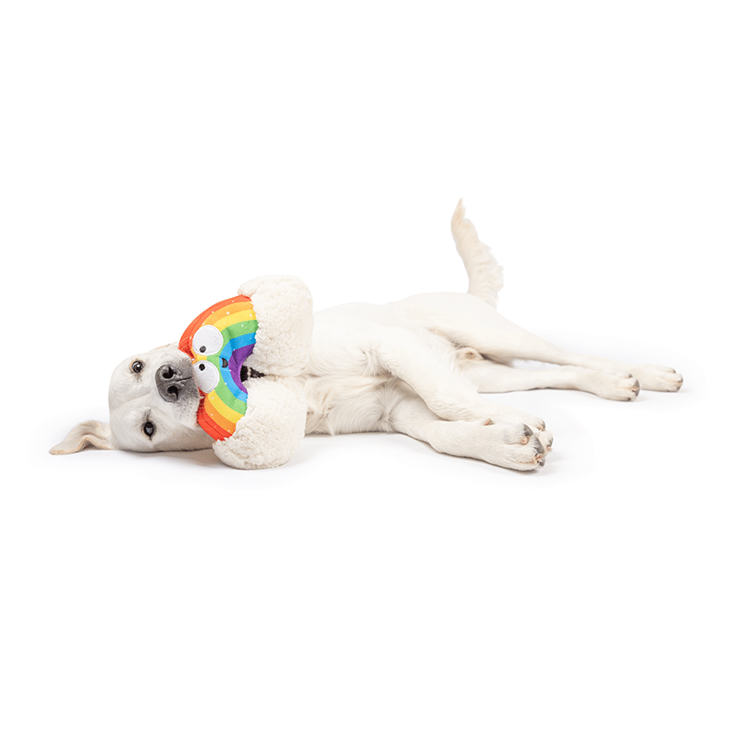 Happy Rainbow Dog Toy Small
