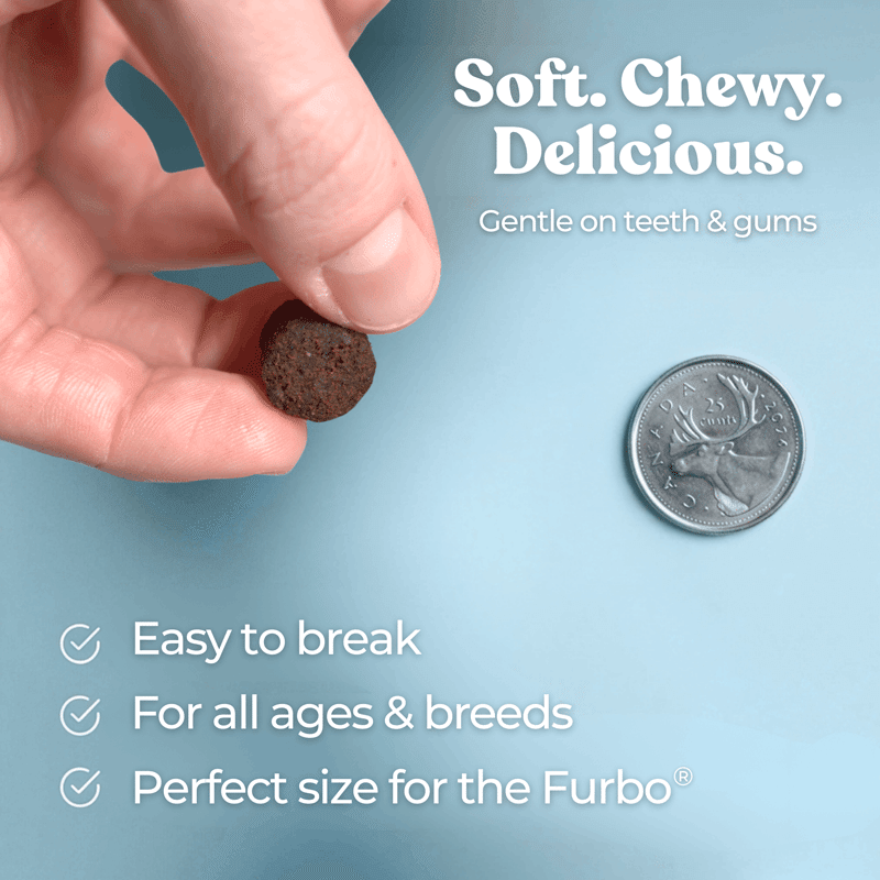 Gut Booster Turkey Dog Treat & Meal Topper