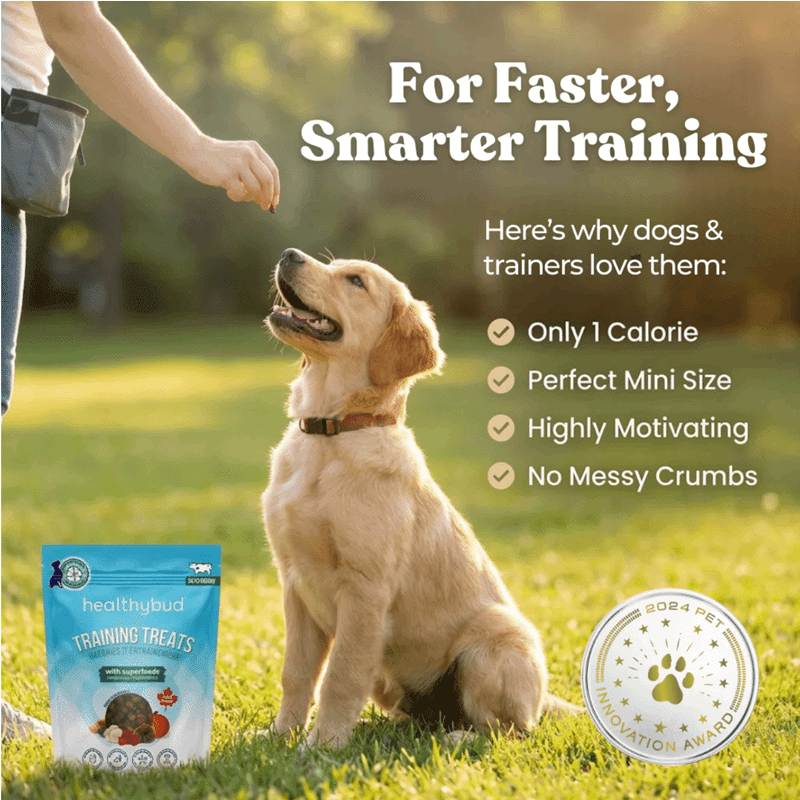 Mini Dog Training Treats with Superfoods