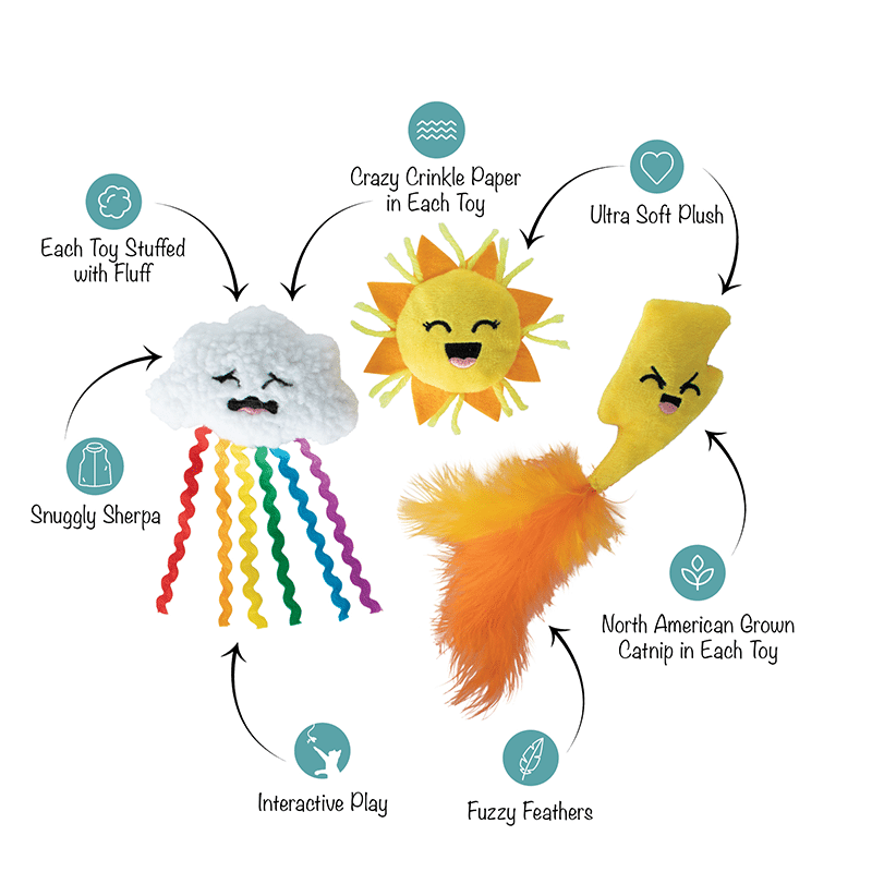 Purr-Fect Weather Cat Toy