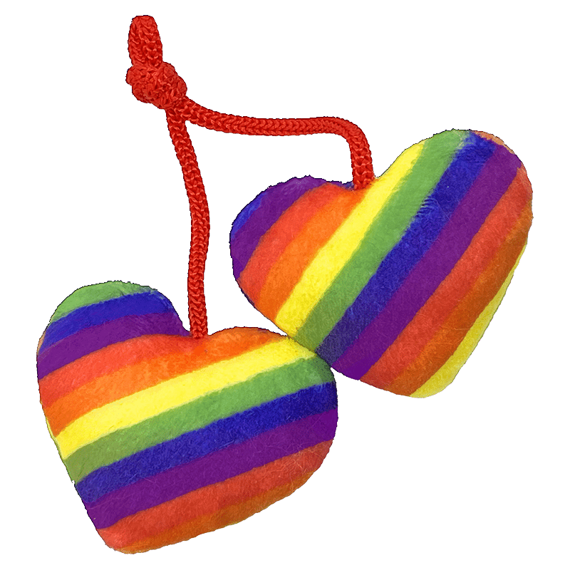 Rainbow Heart Strings Cat Toy