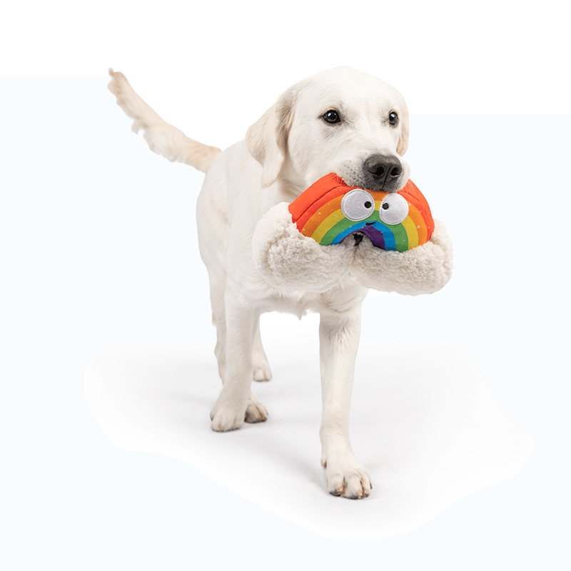 Happy Rainbow Dog Toy Small