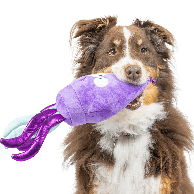 Slappies® Squiggly Squid Dog Toy Small