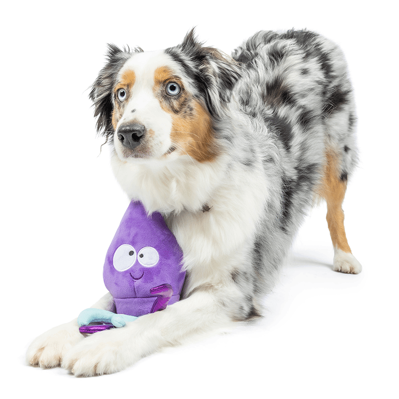 Slappies® Squiggly Squid Dog Toy Small