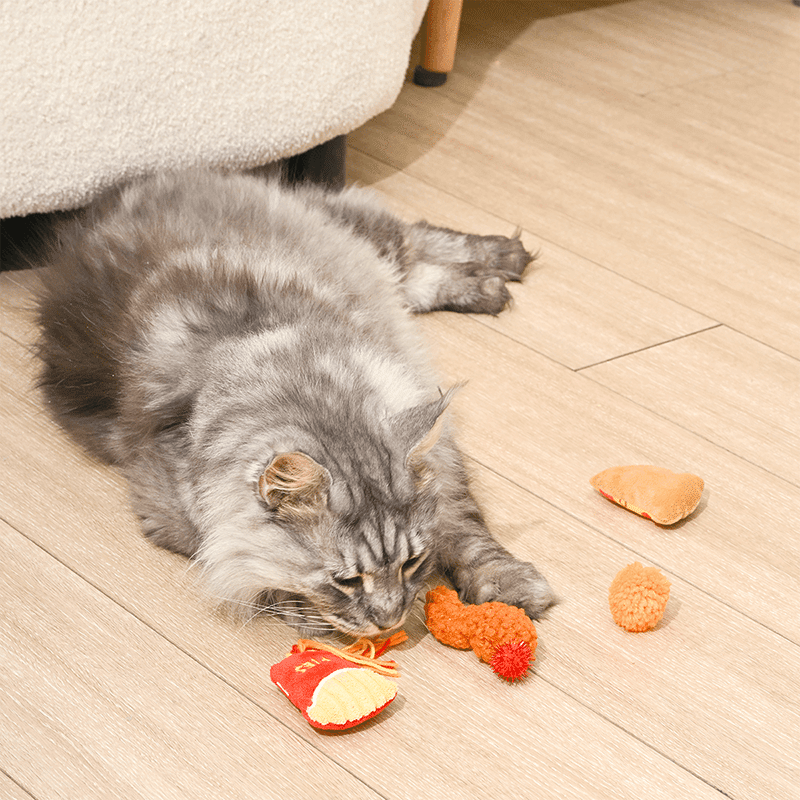 Kitten Party Purrfect Bites Cat Toy Set