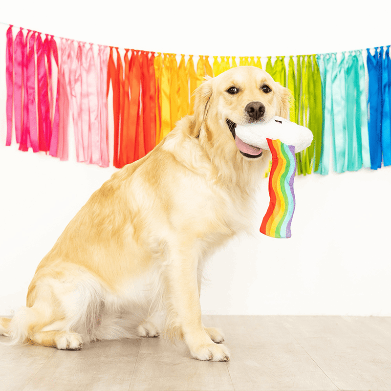 Head in the Clouds Dog Toy