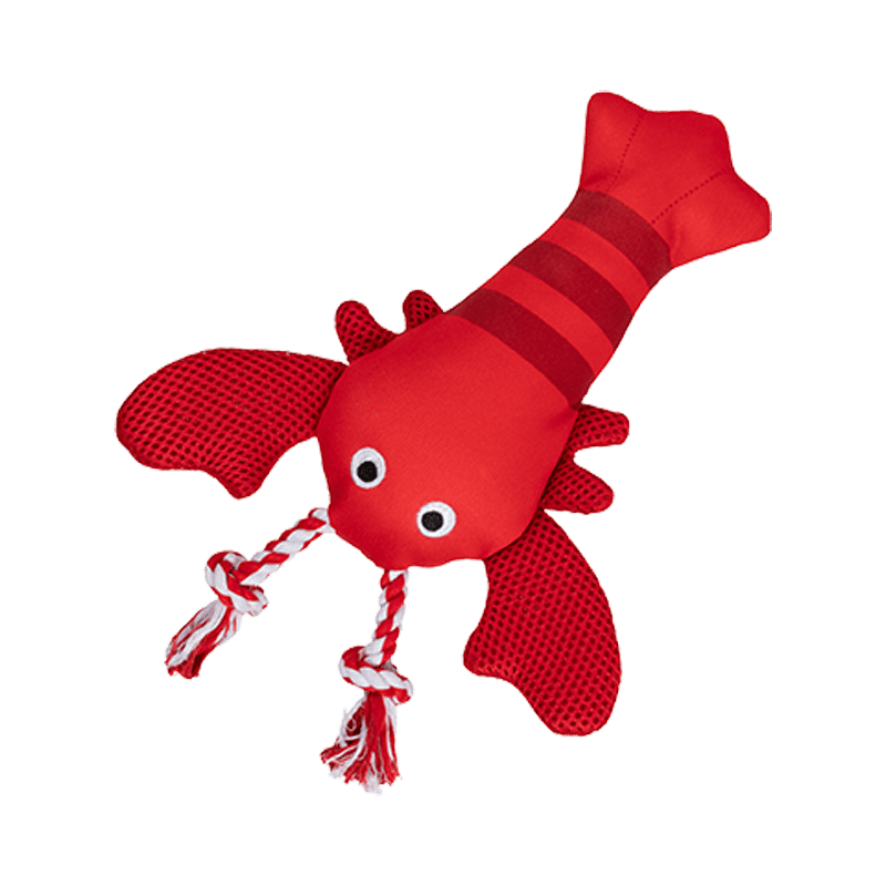 Feeling Claw-Some Floating Dog Toy