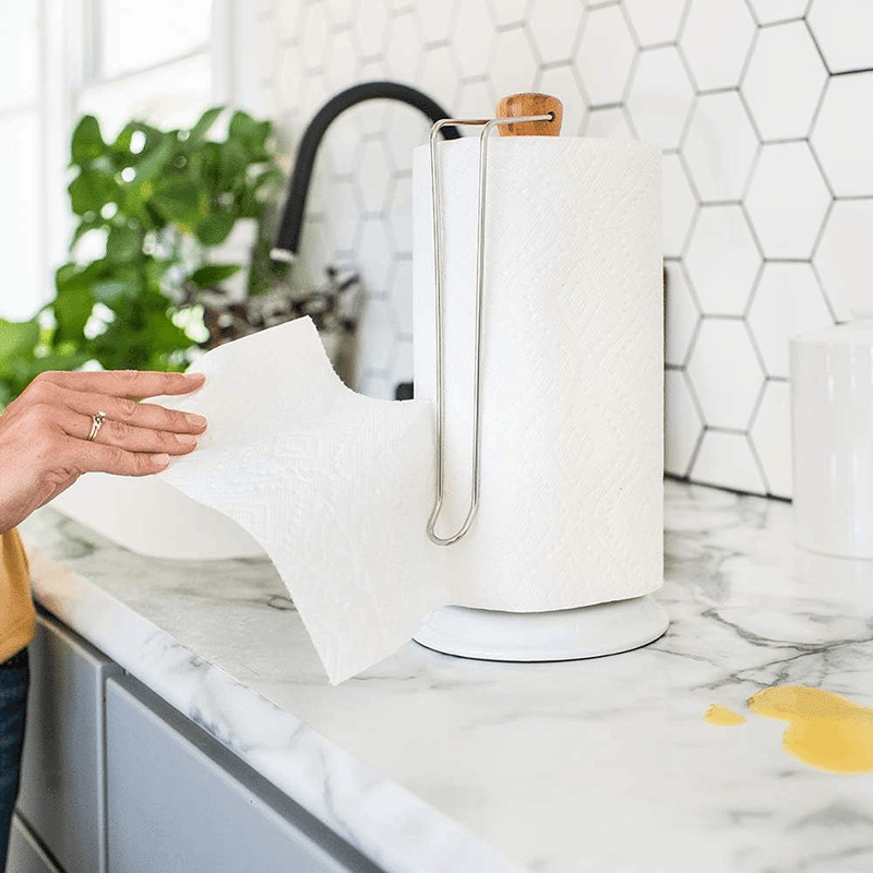 Roll Model - Paper Towel Holder