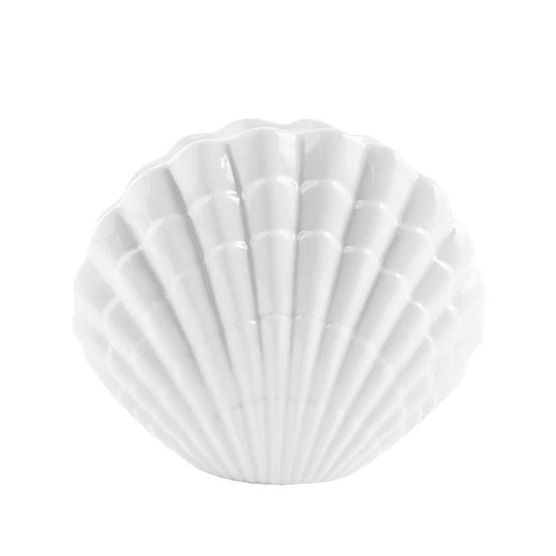 Bud Vase, Shell