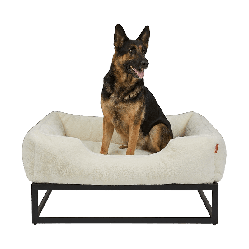 Elevated Dog Bed (Large)