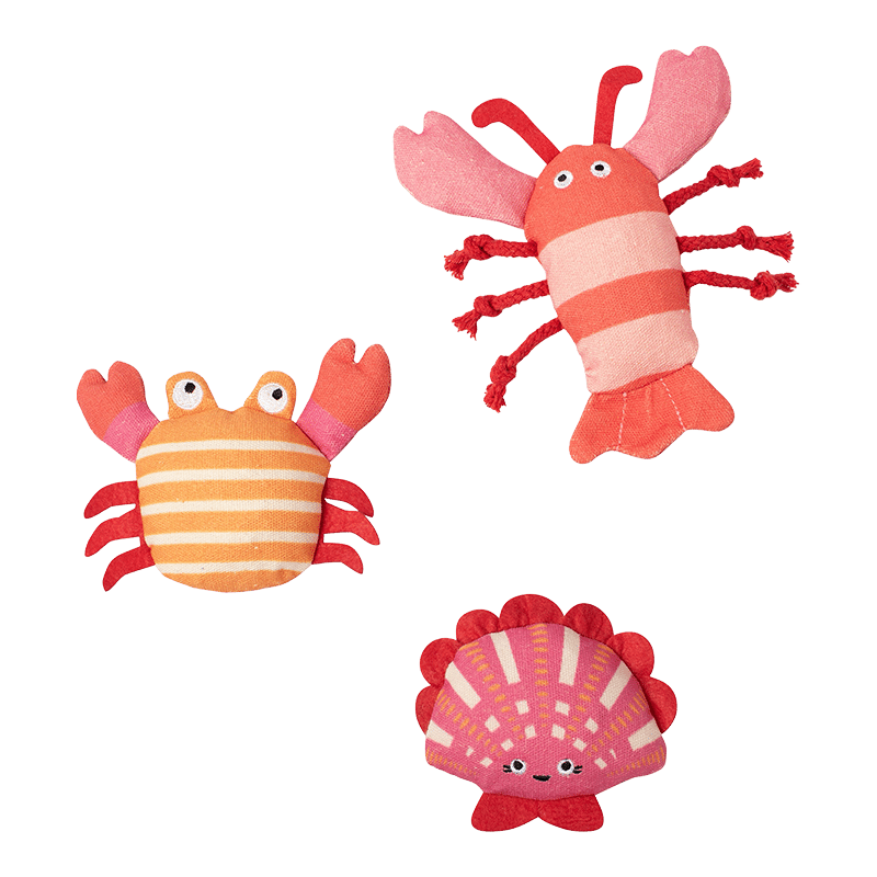 Current Obsession Plush Dog Toy Set