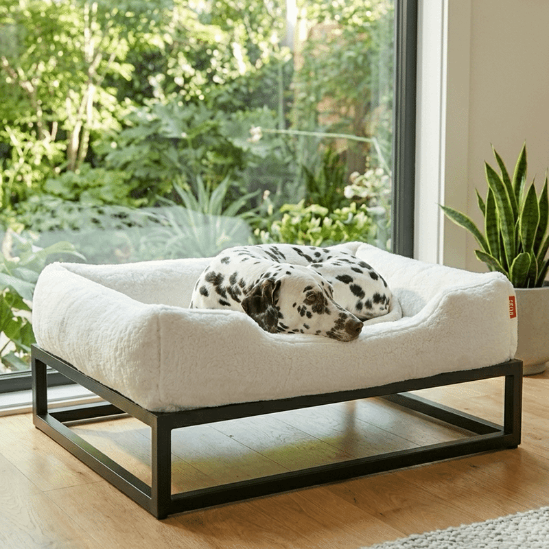 Elevated Dog Bed (Medium)