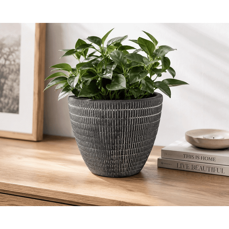 5.5" Petra Cement Decorative Planter