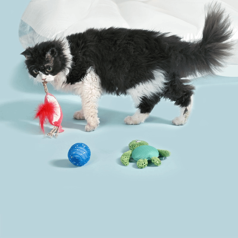 Sea Turtle & Crab Cat Toy Set