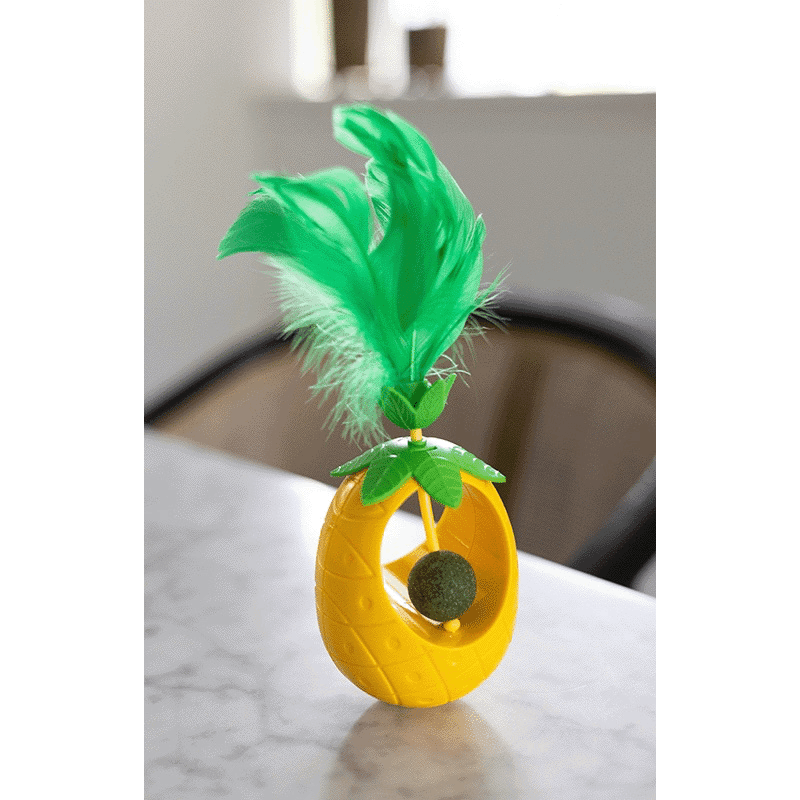Pineapple Shaped Catnip Toy Ball