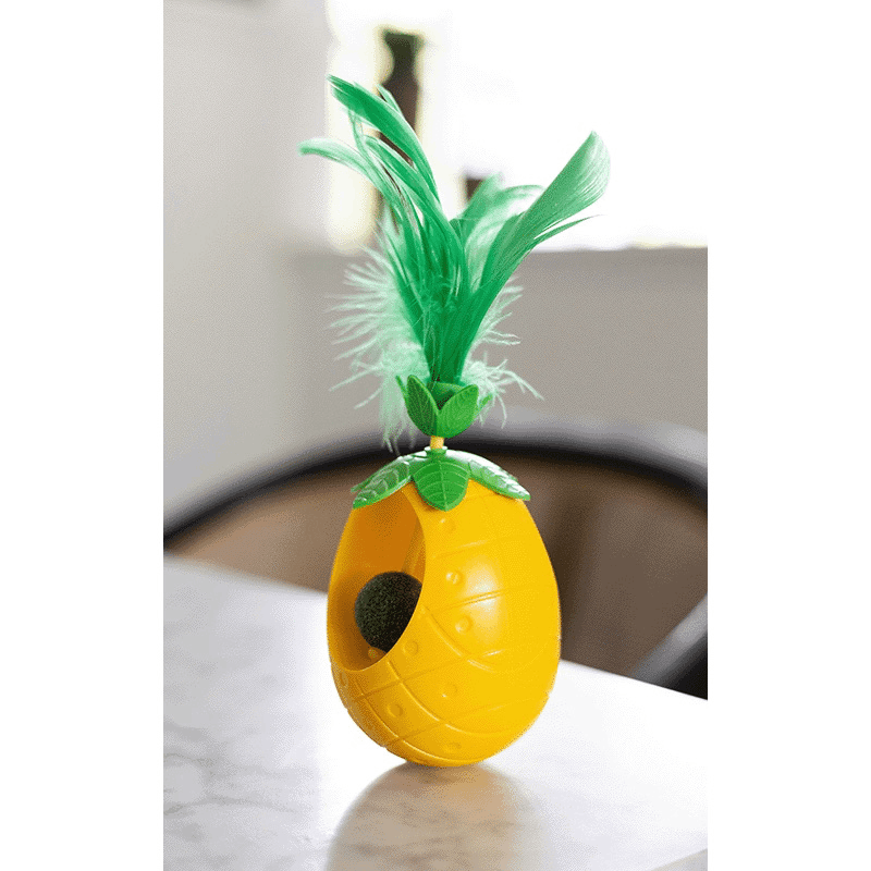 Pineapple Shaped Catnip Toy Ball