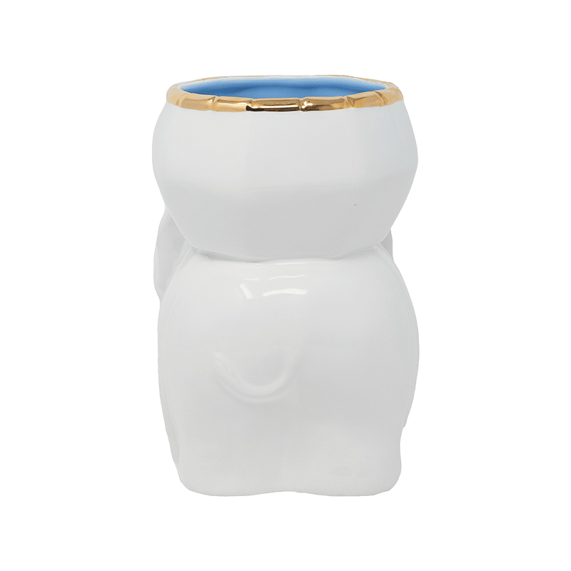 Ceramic Cachepot