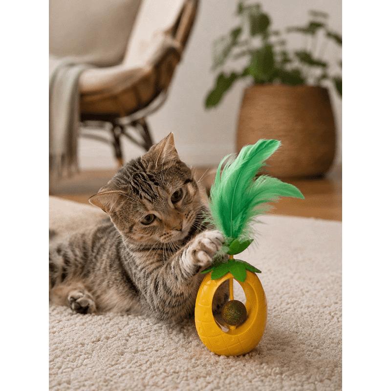 Pineapple Shaped Catnip Toy Ball